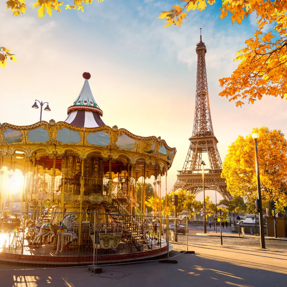 francia francia